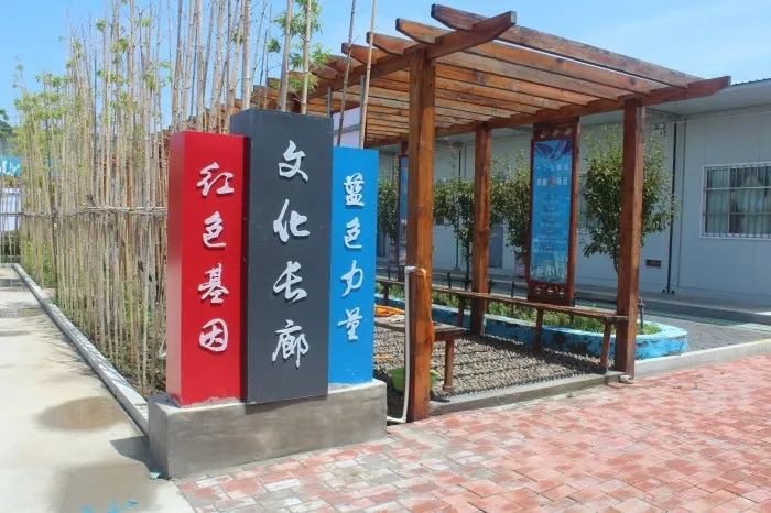 篮球对比足球的优缺点_篮球足球历史对比分析报告_篮球与足球对比