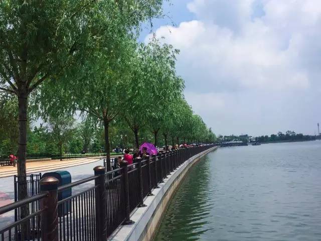 篮球足球历史对比分析报告_篮球vs足球影响力_篮球足球对比报告历史分析图
